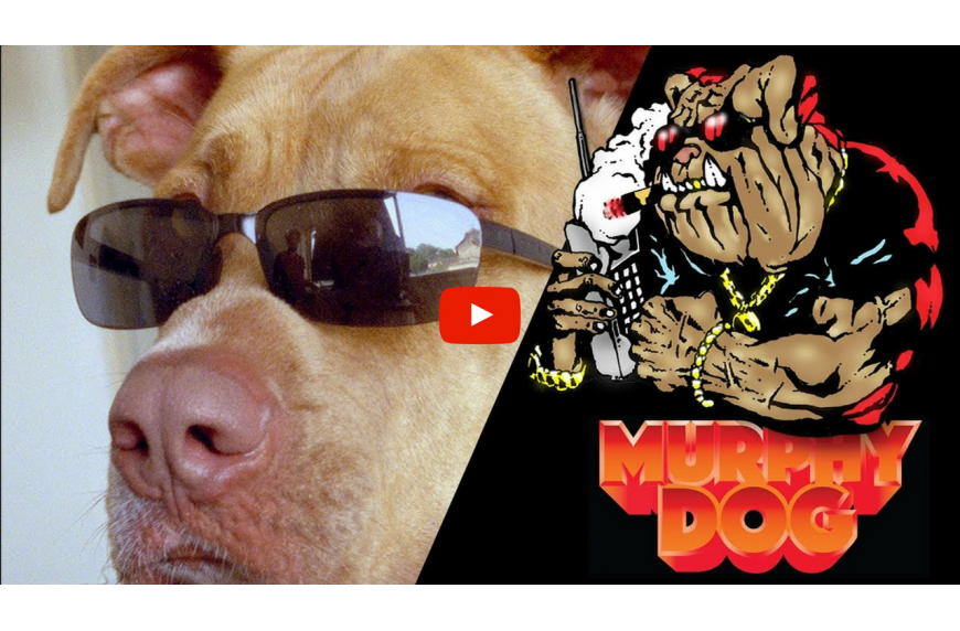 Big Budha Cheez - Murphy Dog